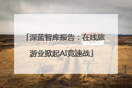 深蓝智库报告：在线旅游业掀起AI竞速战