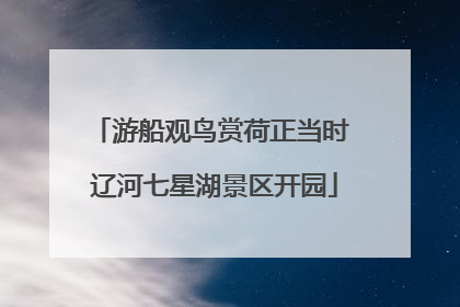 游船观鸟赏荷正当时 辽河七星湖景区开园