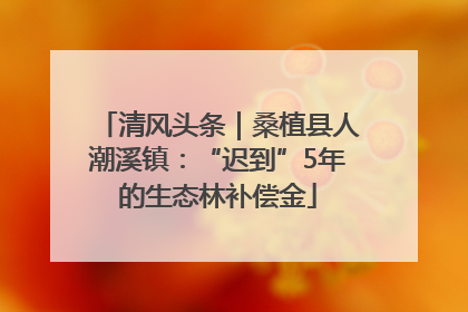 清风头条｜桑植县人潮溪镇：“迟到”5年的生态林补偿金
