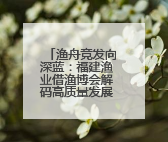 渔舟竞发向深蓝：福建渔业借渔博会解码高质量发展新路径