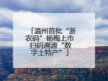 温州首批“浙农码”杨梅上市 扫码溯源“数字土特产”