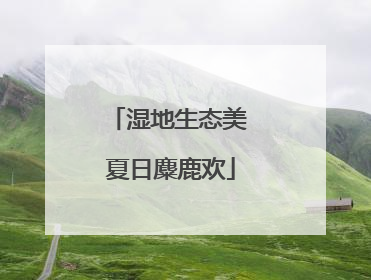 湿地生态美 夏日麋鹿欢
