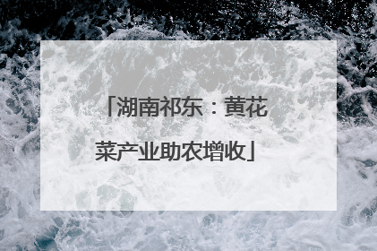 湖南祁东：黄花菜产业助农增收
