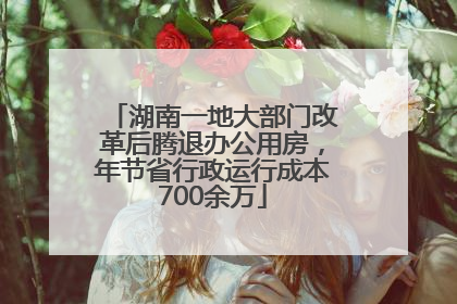 湖南一地大部门改革后腾退办公用房，年节省行政运行成本700余万