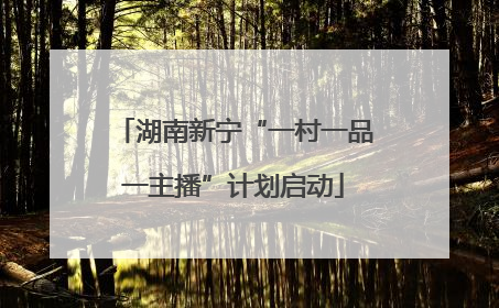 湖南新宁“一村一品一主播”计划启动