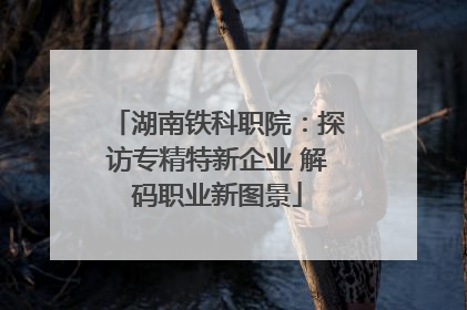 湖南铁科职院：探访专精特新企业 解码职业新图景