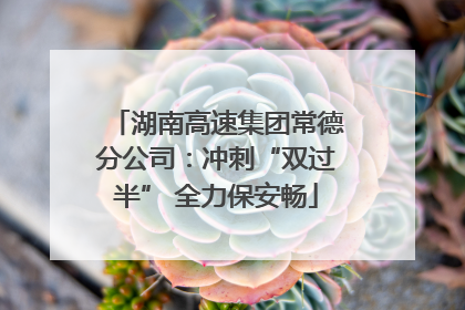 湖南高速集团常德分公司：冲刺“双过半” 全力保安畅