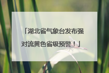 湖北省气象台发布强对流黄色省级预警！