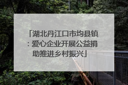 湖北丹江口市均县镇：爱心企业开展公益捐助推进乡村振兴