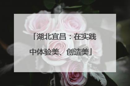湖北宜昌：在实践中体验美、创造美