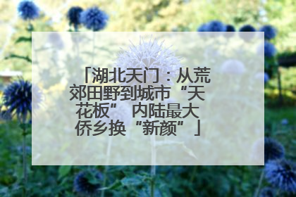 湖北天门：从荒郊田野到城市“天花板” 内陆最大侨乡换“新颜”