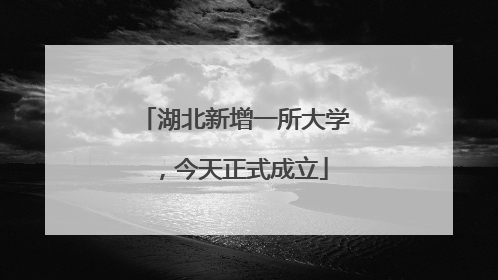 湖北新增一所大学，今天正式成立