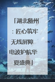湖北随州：匠心筑牢无线屏障 电波护航华夏盛典