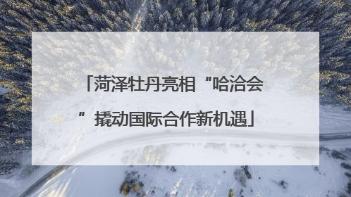 菏泽牡丹亮相“哈洽会”撬动国际合作新机遇