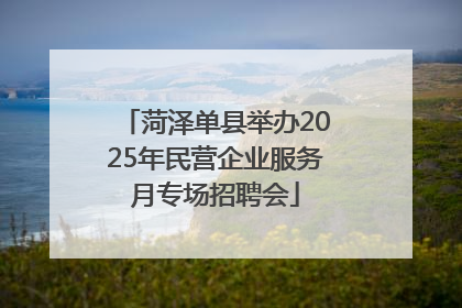 菏泽单县举办2025年民营企业服务月专场招聘会