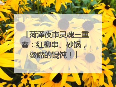 菏泽夜市灵魂三重奏：红柳串、砂锅，烫嘴的馄饨！