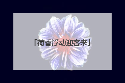荷香浮动迎客来