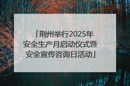 荆州举行2025年安全生产月启动仪式暨安全宣传咨询日活动