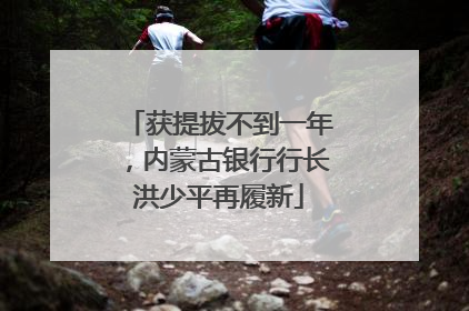 获提拔不到一年，内蒙古银行行长洪少平再履新
