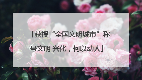 获授“全国文明城市”称号文明 兴化，何以动人