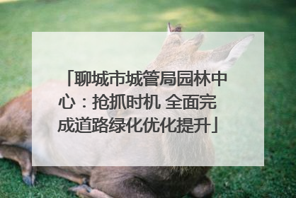 聊城市城管局园林中心：抢抓时机 全面完成道路绿化优化提升
