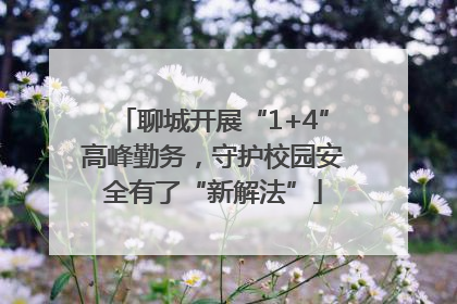 聊城开展“1+4”高峰勤务，守护校园安全有了“新解法”