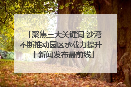 聚焦三大关键词 沙湾不断推动园区承载力提升丨新闻发布最前线