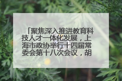 聚焦深入推进教育科技人才一体化发展，上海市政协举行十四届常委会第十八次会议，胡文容出席并讲话