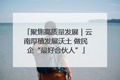 聚焦高质量发展｜云南厚植发展沃土 做民企“最好合伙人”