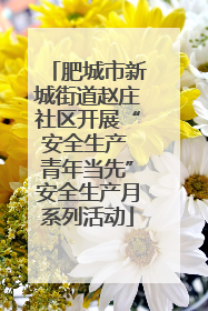 肥城市新城街道赵庄社区开展“安全生产 青年当先”安全生产月系列活动