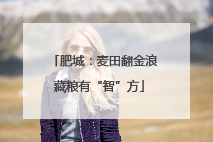肥城：麦田翻金浪藏粮有“智”方