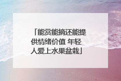 能赏能摘还能提供情绪价值 年轻人爱上水果盆栽