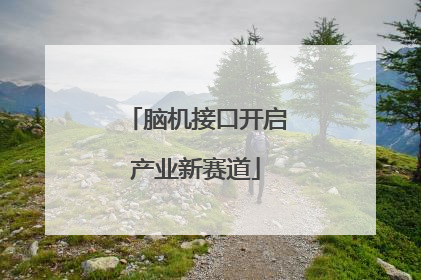 脑机接口开启产业新赛道