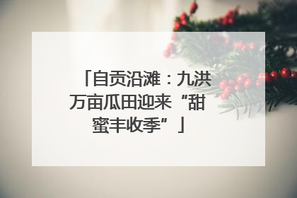 自贡沿滩：九洪万亩瓜田迎来“甜蜜丰收季”