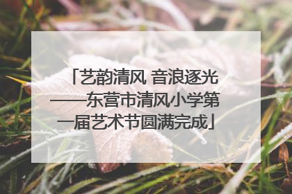 艺韵清风 音浪逐光——东营市清风小学第一届艺术节圆满完成