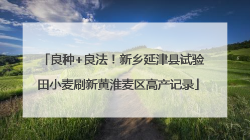 良种+良法！新乡延津县试验田小麦刷新黄淮麦区高产记录