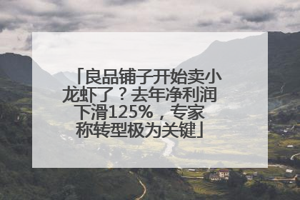 良品铺子开始卖小龙虾了?去年净利润下滑125%,专家称转型极为关键