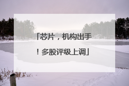 芯片，机构出手！多股评级上调