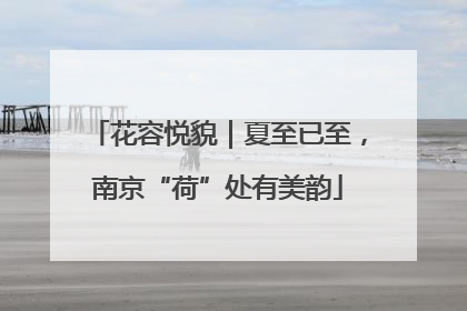 花容悦貌｜夏至已至，南京“荷”处有美韵