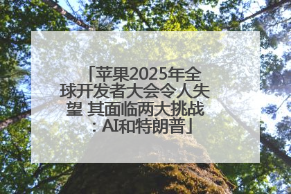 苹果2025年全球开发者大会令人失望 其面临两大挑战：AI和特朗普