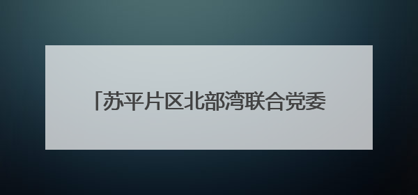 苏平片区北部湾联合党委 激活乡村治理一池春水