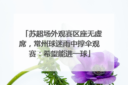 苏超场外观赛区座无虚席，常州球迷雨中撑伞观赛：希望能进一球