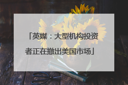 英媒：大型机构投资者正在撤出美国市场