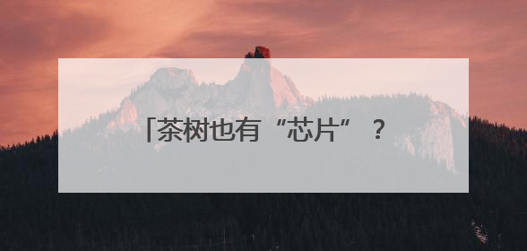 茶树也有“芯片”？守护者是他们……