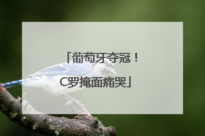 葡萄牙夺冠！C罗掩面痛哭