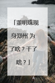董明珠现身郑州 为了啥？干了啥？