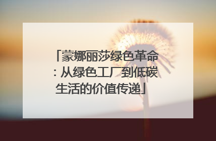 蒙娜丽莎绿色革命：从绿色工厂到低碳生活的价值传递