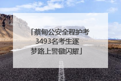 蔡甸公安全程护考 3493名考生逐梦路上警徽闪耀