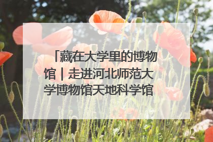藏在大学里的博物馆｜走进河北师范大学博物馆天地科学馆：在校园里赴一场“宇宙之约”