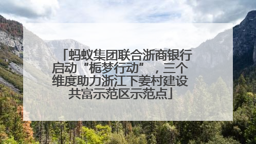 蚂蚁集团联合浙商银行启动“栀梦行动”，三个维度助力浙江下姜村建设共富示范区示范点